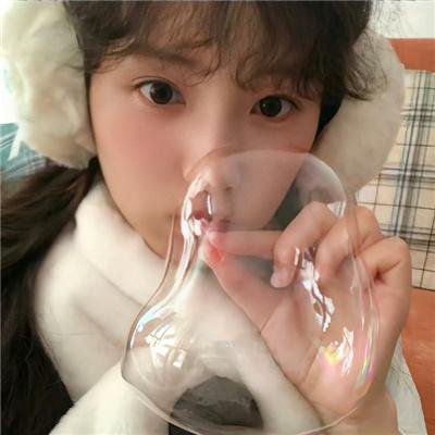 我可爱的宾杜